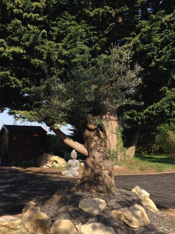 Nostang Le Domaine De Saint-Thomin B&B 외부 사진